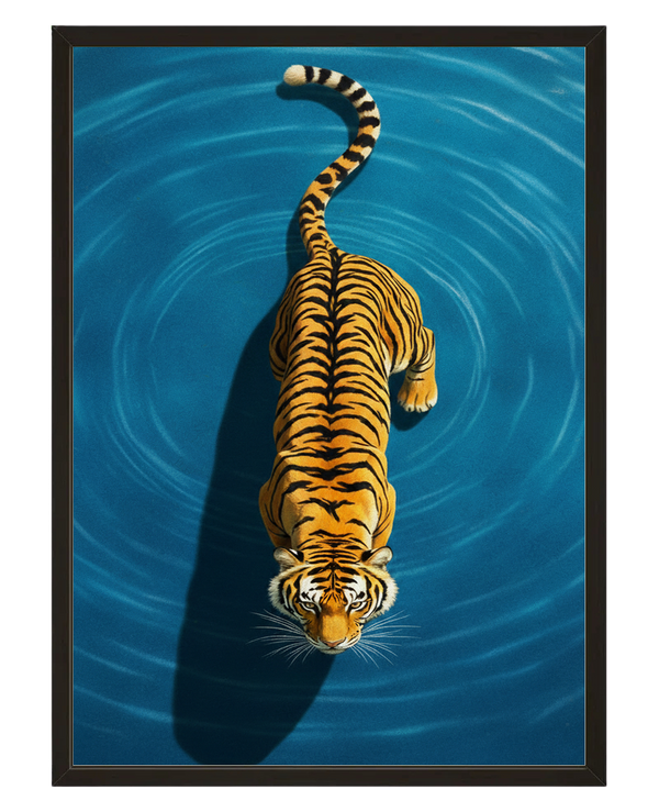 Tigre Aquatique avec cadre