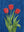 Trio Tulipes sans cadre