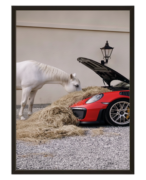 Ecurie Moderne avec cadre