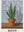 Mosaique Azur sans cadre