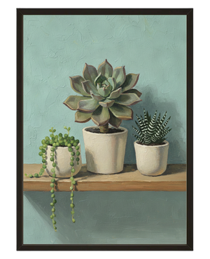 Succulentes Douces avec cadre