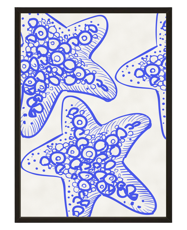 Les Etoiles De Mer avec cadre
