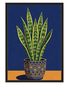 Plante Sansevieria