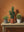 Trio Cactus sans cadre