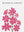 Cosmos Roses sans cadre