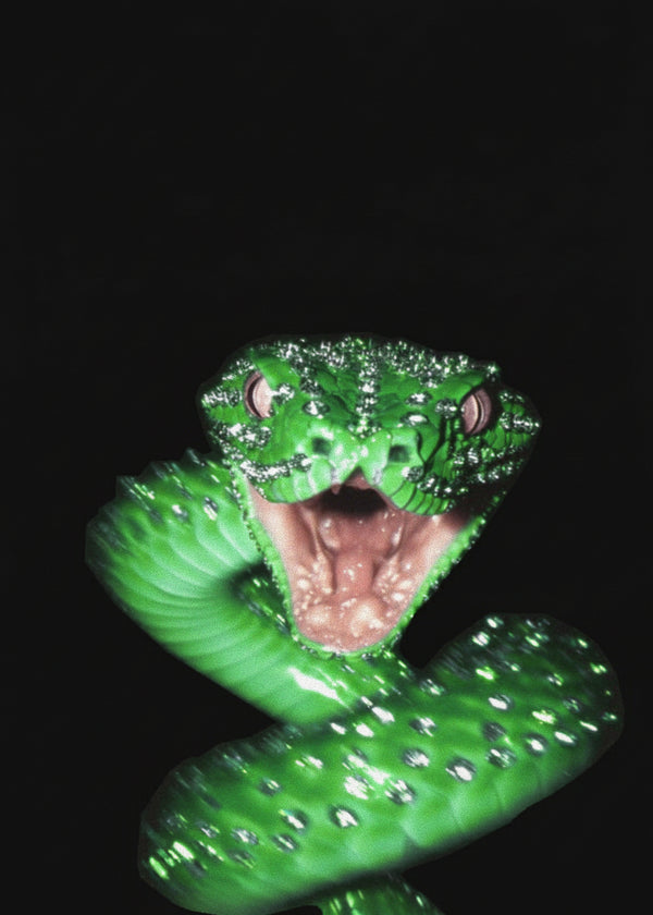 Venin Vert sans cadre