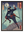 Ombre Shinobi avec cadre