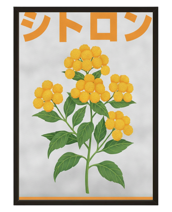 Plante Jaune avec cadre