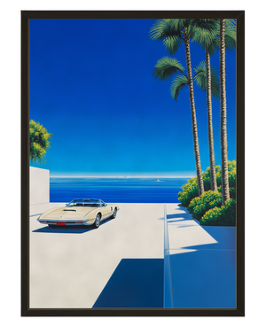 Horizon Palmitos avec cadre