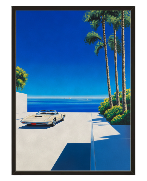 Horizon Palmitos avec cadre