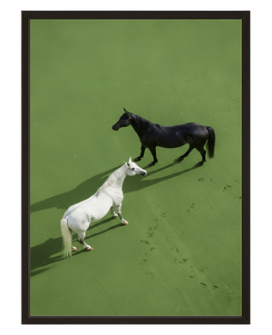 Echecs Equins avec cadre