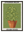 Epipremnum Aureum avec cadre