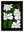Petales Contrastes avec cadre