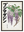 Glycine Nipponne avec cadre