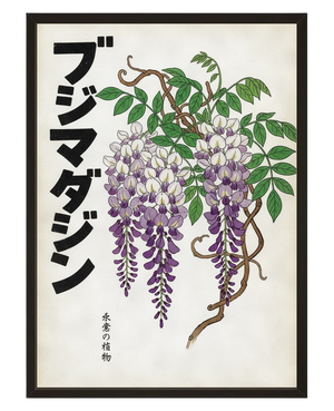 Glycine Nipponne avec cadre