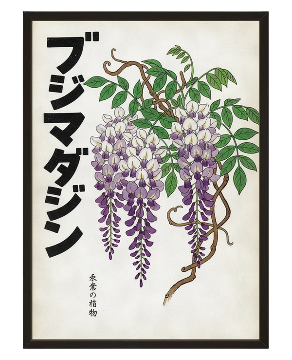 Glycine Nipponne avec cadre