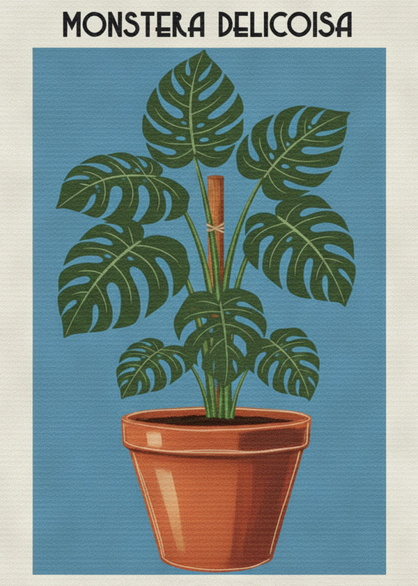 Monstera Deliciosa sans cadre