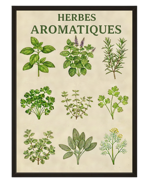 Herbes Aromatiques avec cadre
