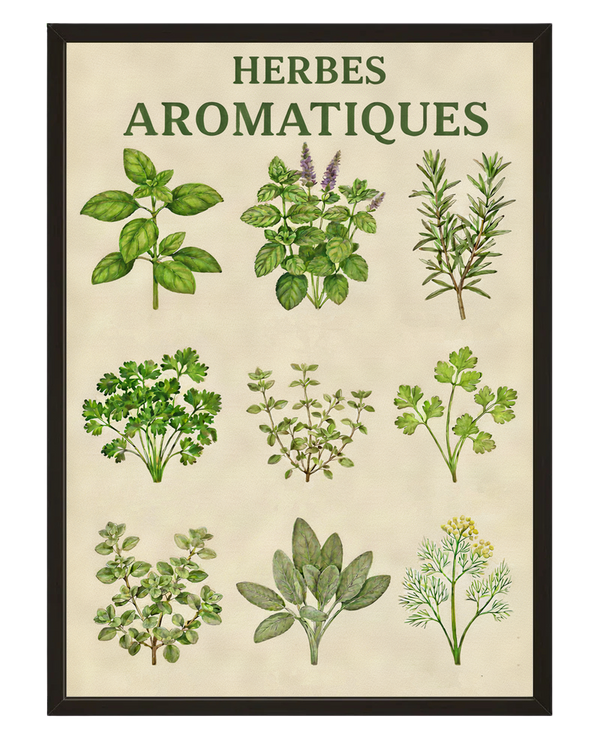 Herbes Aromatiques avec cadre
