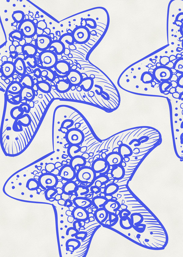 Les Etoiles De Mer sans cadre