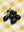 Olives Sur Damier sans cadre
