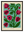 Tulips avec cadre