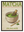 Matcha Ritual avec cadre