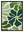 Fleur Abstraite 1 avec cadre