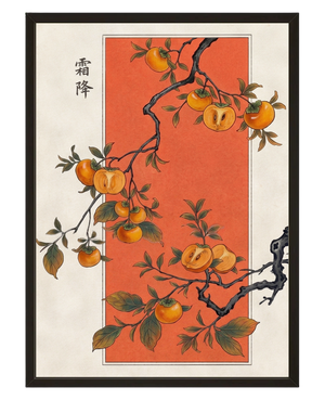 Recolte D Automne avec cadre