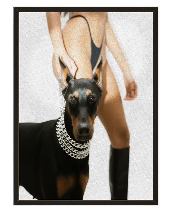 Doberman Curves avec cadre