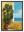 Ombre Tropicale avec cadre