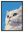 Le Chat Blanc avec cadre