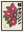 Camelias Nippons avec cadre
