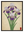 Iris Royaux avec cadre