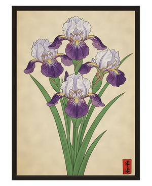 Iris Royaux avec cadre