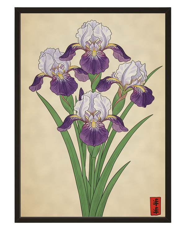 Iris Royaux avec cadre