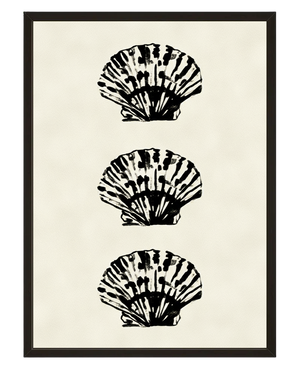 Coquillages Noir avec cadre