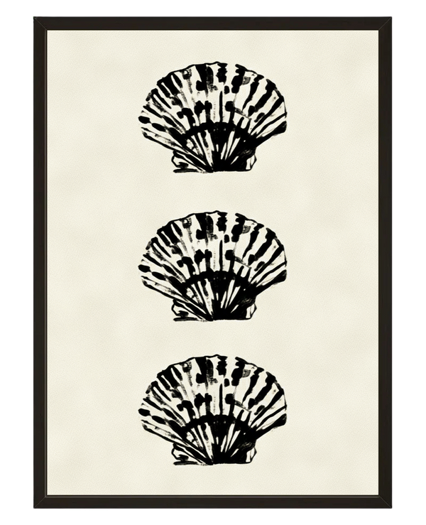 Coquillages Noir avec cadre