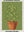 Epipremnum Aureum sans cadre