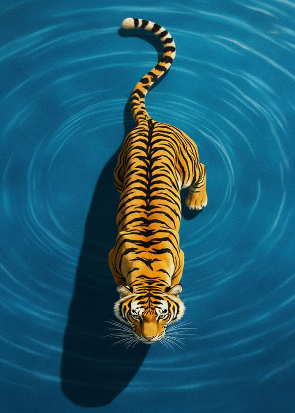 Tigre Aquatique sans cadre