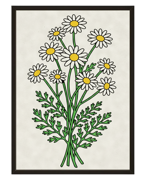Bouquet Marguerite avec cadre