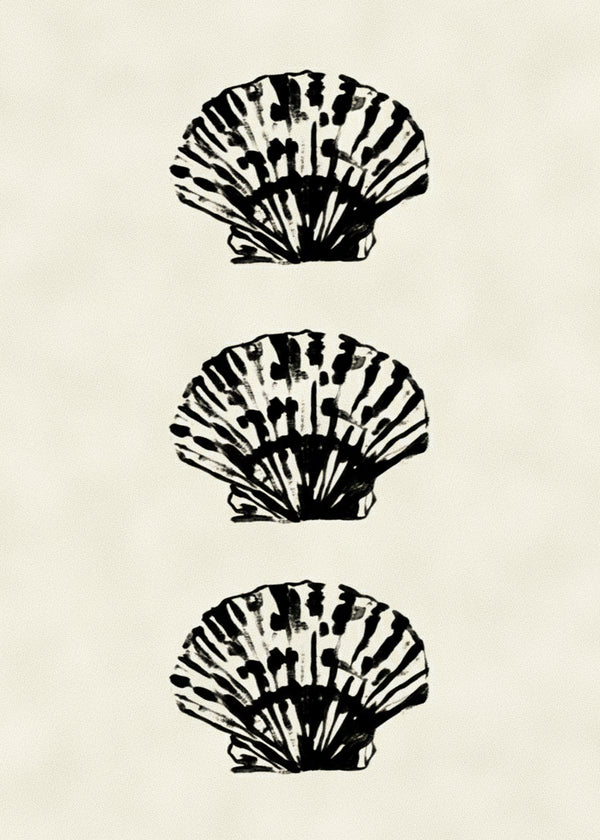 Coquillages Noir sans cadre