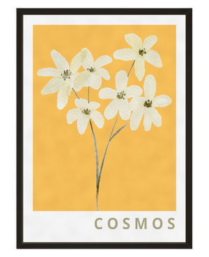 Eclat Solaire avec cadre