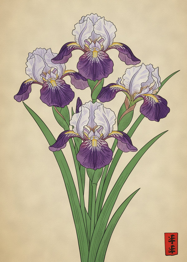 Iris Royaux sans cadre
