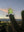 Cactus Rockstar sans cadre