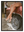 Lavage Mousse avec cadre