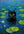 Chat Poetique sans cadre
