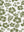 Motif Hibiscus sans cadre