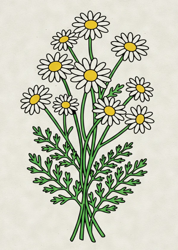 Bouquet Marguerite sans cadre