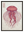 Meduse Cosmos avec cadre